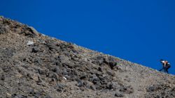 Atrevidos intentando conquistar el cráter del Teide