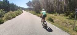Subida Ciclista Entre Bosques De Soria 