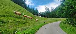 Animadores subiendo el Mittelbergpass, Suiza