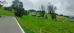 Verde profundo en el Glaubenbielenpass en Suiza