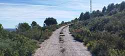 Agarrando con fuerza la bici subiendo el Coll de la Bassa