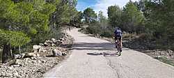 Ascendiendo por la solitaria carretera entre Árboles hacia la Ermita de Santa Ana